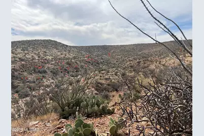 12 Acres S Golder Dam Road, Saddlebrooke, AZ 85739 - Photo 2