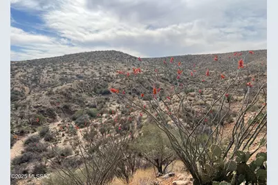 12 Acres S Golder Dam Road, Saddlebrooke, AZ 85739 - Photo 10