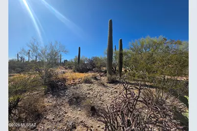 4675 N Camino Ocotillo #221, Tucson, AZ 85718 - Photo 4