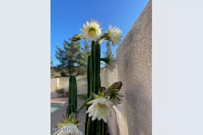 428 Camino Canoa, Rio Rico, AZ 85648 - Photo 50