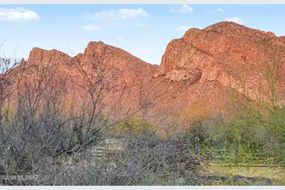 620 W Bangalor Drive, Oro Valley, AZ 85737 - Photo 42