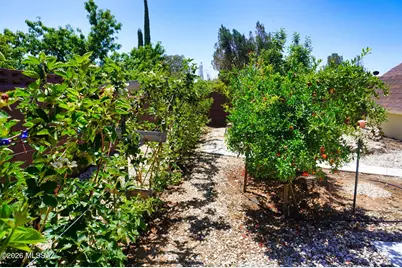 1016 E Mescal Drive, Pearce, AZ 85625 - Photo 6