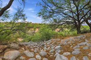 1072 W Camino Urbano, Green Valley, AZ 85622 - Photo 50