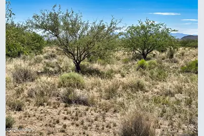 2 Lots W Zinnia Street #9/10, Pearce, AZ 85625 - Photo 12