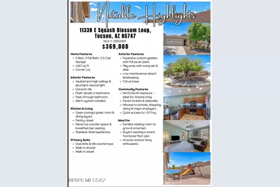 11338 E Squash Blossom Loop, Tucson, AZ 85747 - Photo 32