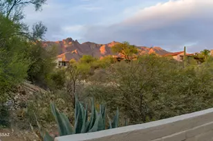 6250 N Campbell Ave, Tucson, AZ 85718 - Photo 30