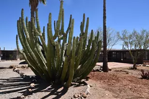 3510 N Camino De Oeste, Tucson, AZ 85745 - Photo 34