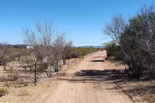 18565 W McClean Rd, Marana, AZ 85653 - Photo 6