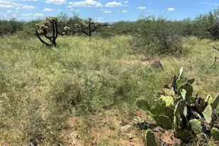 W Dove Way, Amado, AZ 85645 - Photo 12