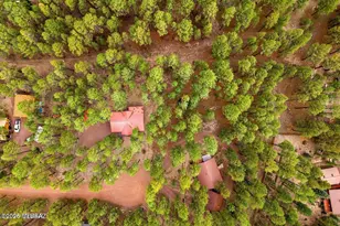 4 Co Rd 2089, Alpine, AZ 85920 - Photo 34