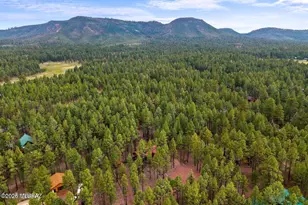 4 Co Rd 2089, Alpine, AZ 85920 - Photo 36
