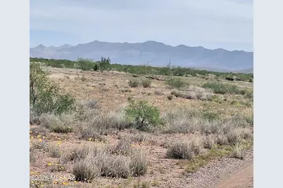 3470 W Double Adobe Road #1, Douglas, AZ 85607 - Photo 4