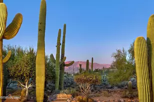 2614 N Grannen Rd, Tucson, AZ 85745 - Photo 36