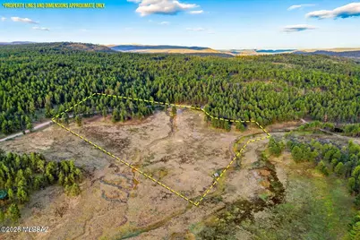 1A Forest Road #26, Alpine, AZ 85920 - Photo 2