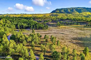 1A Forest Rd, Alpine, AZ 85920 - Photo 1
