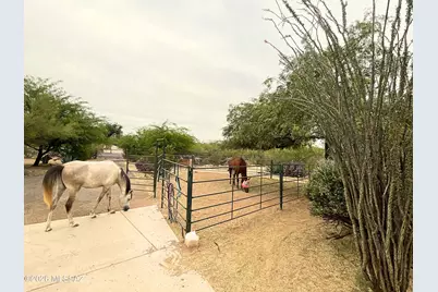 11201 E Via Madre Street, Tucson, AZ 85749 - Photo 2
