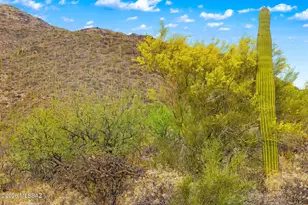 7640 N Camino Sin Vacas, Tucson, AZ 85718 - Photo 30