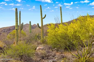 7640 N Camino Sin Vacas, Tucson, AZ 85718 - Photo 32