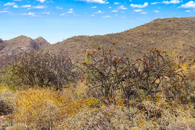 7640 N Camino Sin Vacas, Tucson, AZ 85718 - Photo 36
