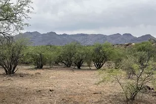 282 Ciuta Corte, Rio Rico, AZ 85648 - Photo 18