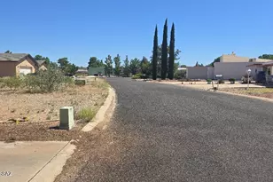 1030 E Irene Circle, Pearce, AZ 85625 - Photo 38