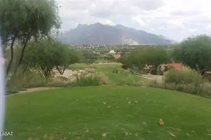 8601 N Johnny Miller Dr, Tucson, AZ 85704 - Photo 30