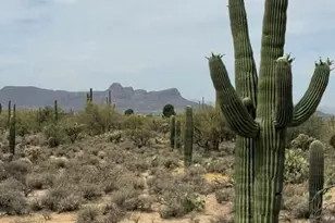 4487 W Harmony Ranch Pl, Marana, AZ 85658 - Photo 24