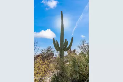530 E Thunderstorm Place, Oro Valley, AZ 85755 - Photo 12