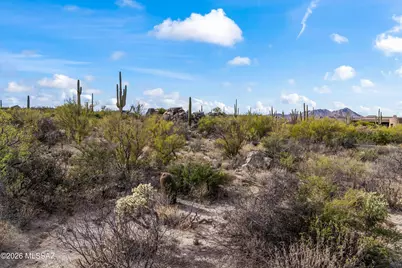 530 E Thunderstorm Place #116, Oro Valley, AZ 85755 - Photo 12