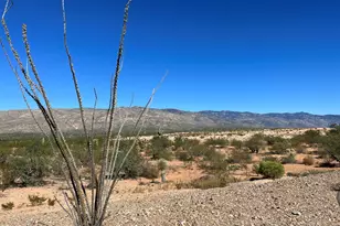 7846 S New Strike Way, Tucson, AZ 85747 - Photo 18