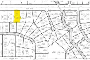 14921 W Pyle Rd, Tucson, AZ 85736 - Photo 12
