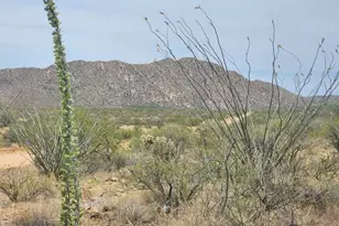 14921 W Pyle Rd, Tucson, AZ 85736 - Photo 2