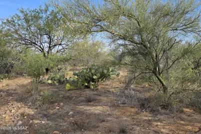 14596 Berwyn Place #412, Tucson, AZ 85736 - Photo 10