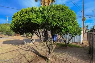 2358 E 18th St, Tucson, AZ 85719 - Photo 30