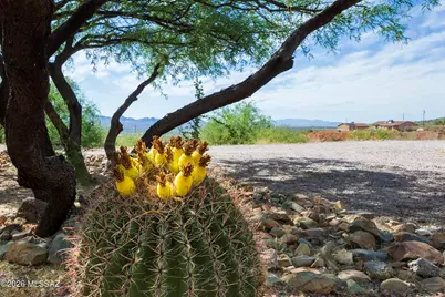 290 Via Mantaraya, Rio Rico, AZ 85648 - Photo 40