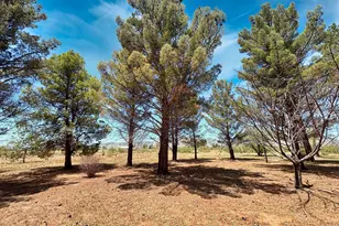 311 W Kaibab Way, Cochise, AZ 85606 - Photo 8