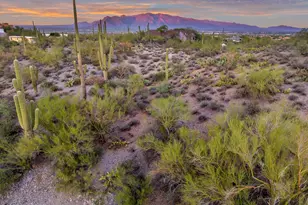 5030 W Crestview Dr, Tucson, AZ 85745 - Photo 1