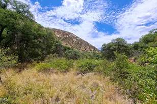 3157 W Highway 80, Bisbee, AZ 85603 - Photo 4