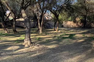 7748 E River Forest Pl, Tucson, AZ 85715 - Photo 10