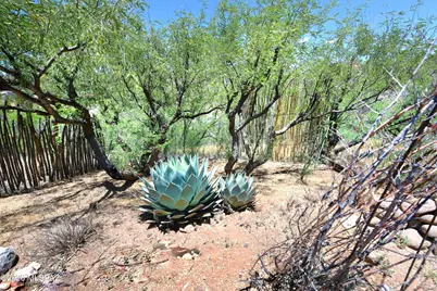 264 Lenon Way, Patagonia, AZ 85624 - Photo 22