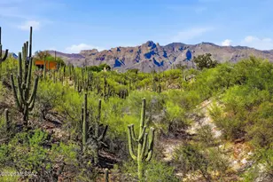 1979 E Campbell Terrace, Tucson, AZ 85718 - Photo 44