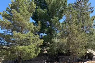 277 Campbell St, Duncan, AZ 85534 - Photo 24
