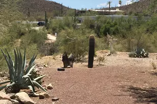 1301 N Painted Hills Rd, Tucson, AZ 85745 - Photo 34