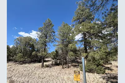 8698 Kira Lane, Flagstaff, AZ 86004 - Photo 12