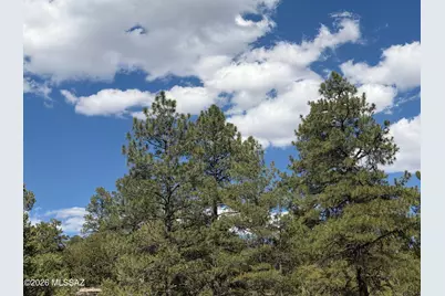 8698 Kira Lane, Flagstaff, AZ 86004 - Photo 10