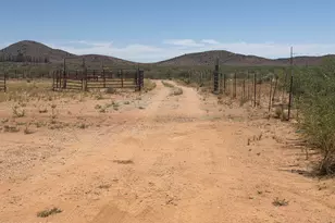3318 E Page Ranch Rd, Willcox, AZ 85643 - Photo 4