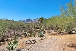 4310 N Camino Arco, Tucson, AZ 85718 - Photo 40