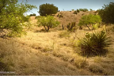 202 Tanglehead Lane #Lot 22, Patagonia, AZ 85624 - Photo 2