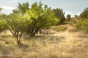 194 Tanglehead Ln, Patagonia, AZ 85624 - Photo 1
