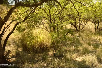 194 Tanglehead Lane #Lot 23, Patagonia, AZ 85624 - Photo 12